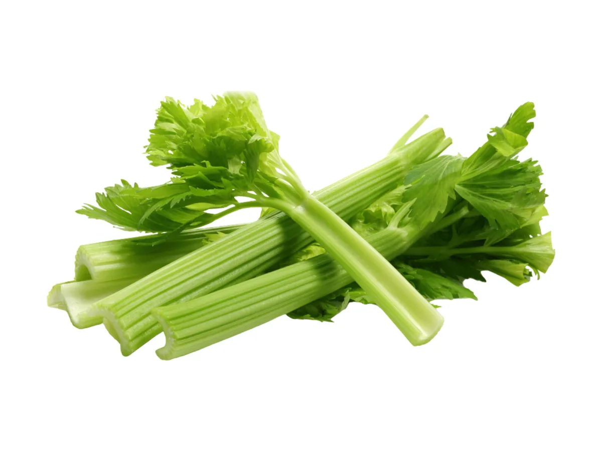 Celery X Kg