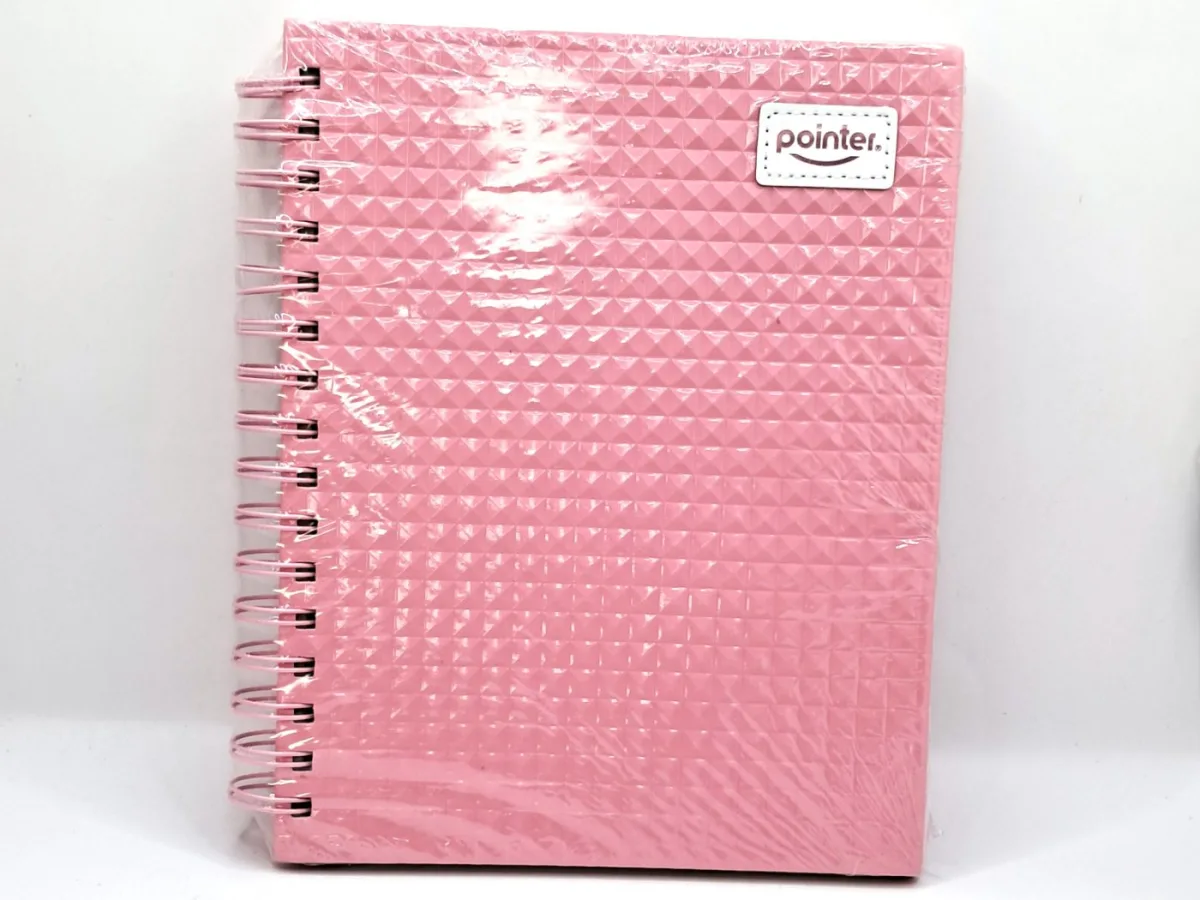 Agenda Pointer 3 Separaciones X Und