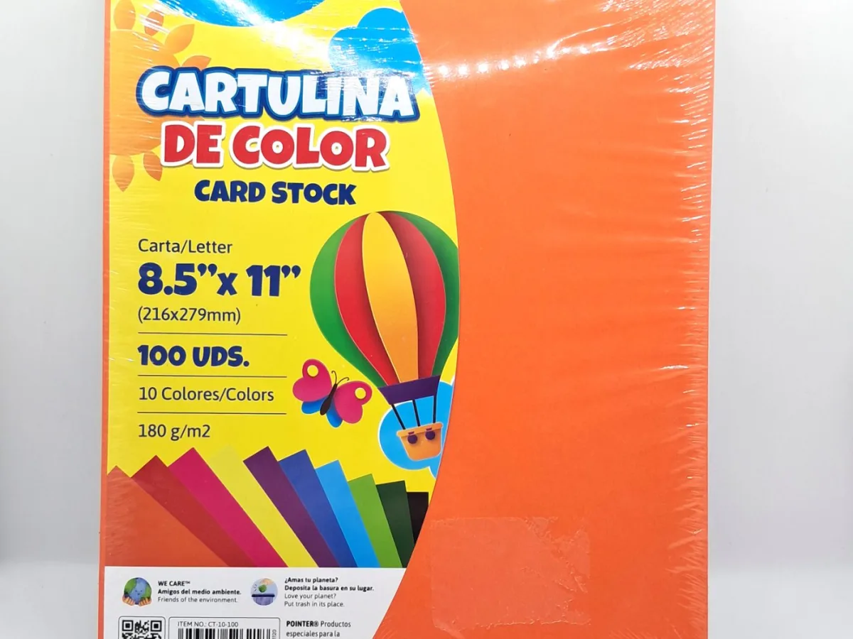 Cartulina Escolar 100 Und Pointer