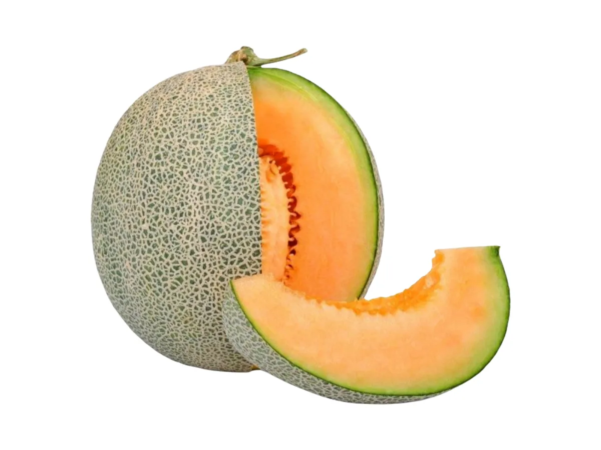 Melon X Kg